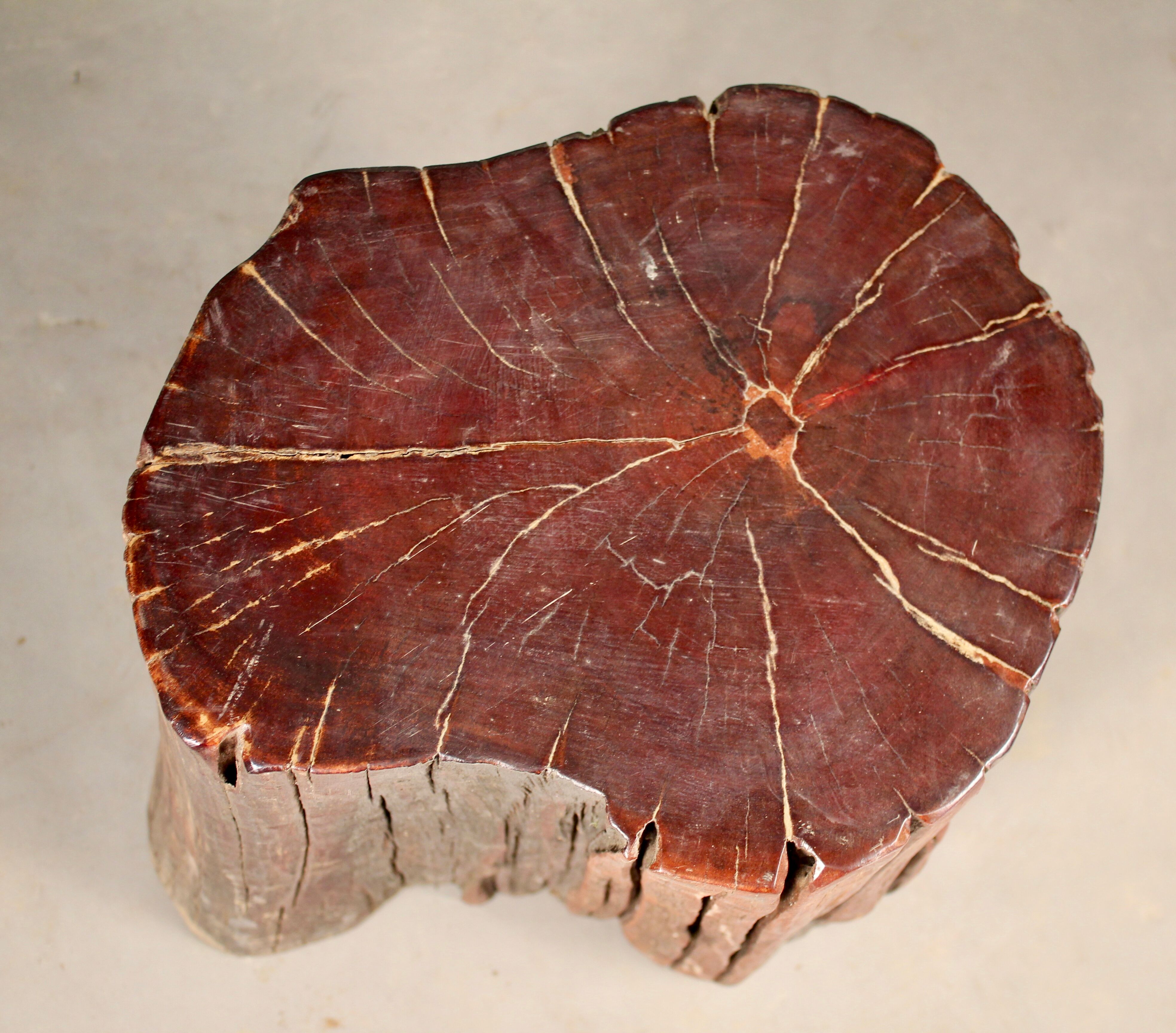 Consisting of a fossilized tree trunk seat