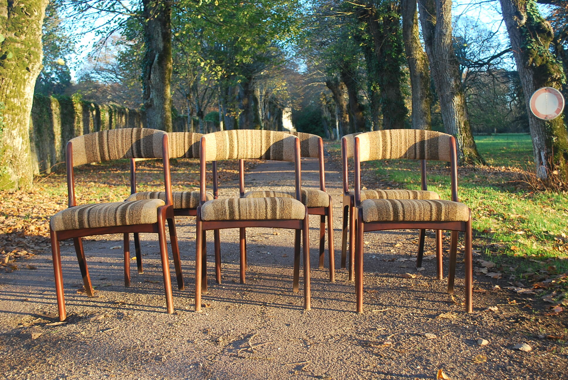 Lots of scandinavian chairs vintage gondola