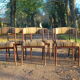 Lots of scandinavian chairs vintage gondola