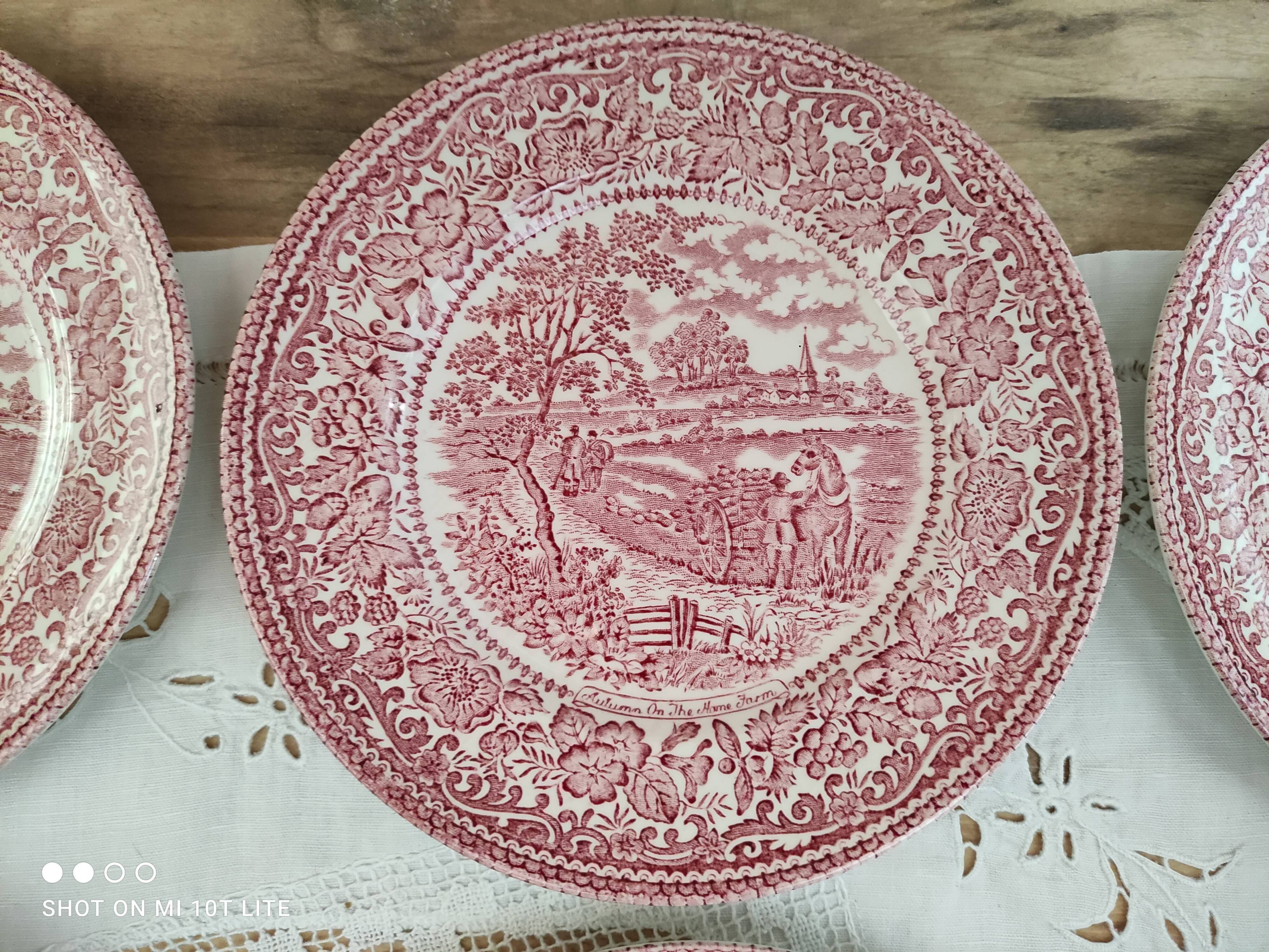 Set of 6 dessert plates in English porcelain red country décor