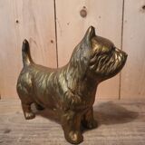 Chien scottish laiton