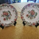 Paire d'assiettes en porcelaine