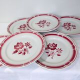 6 flat plates with red flowers