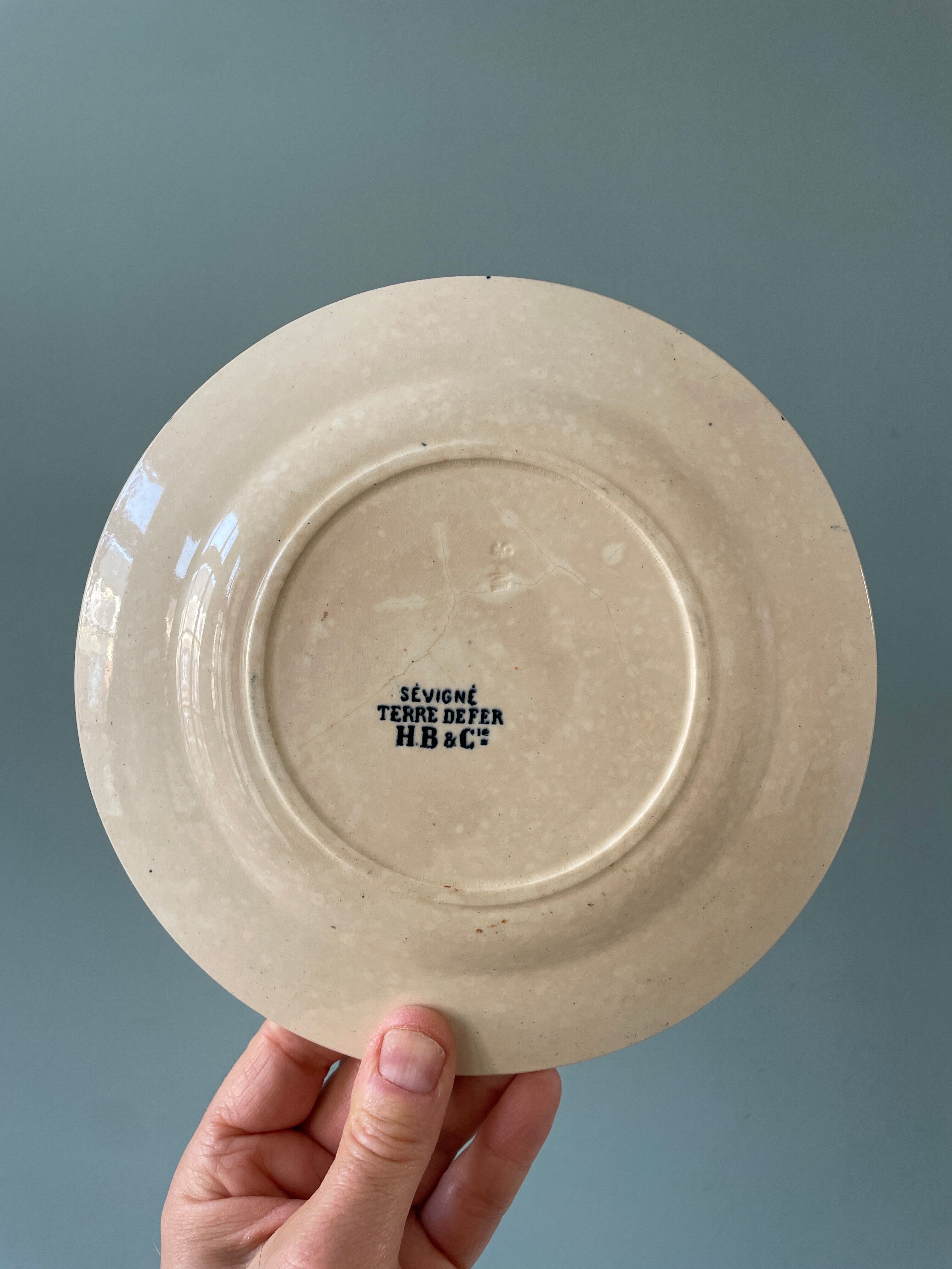 Series of 12 mismatched Terre de Fer dessert plates