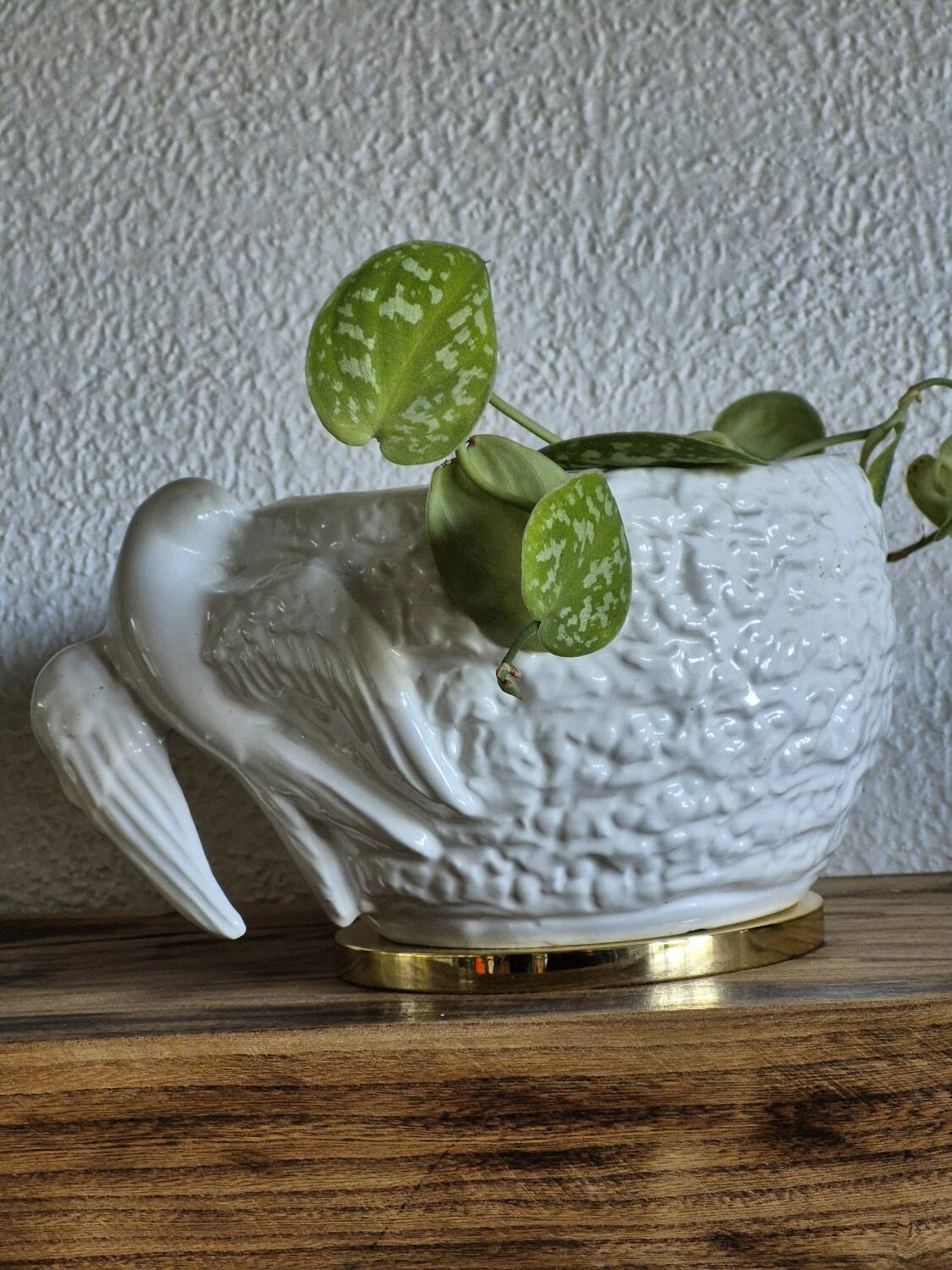 Bird planter