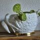 Bird planter