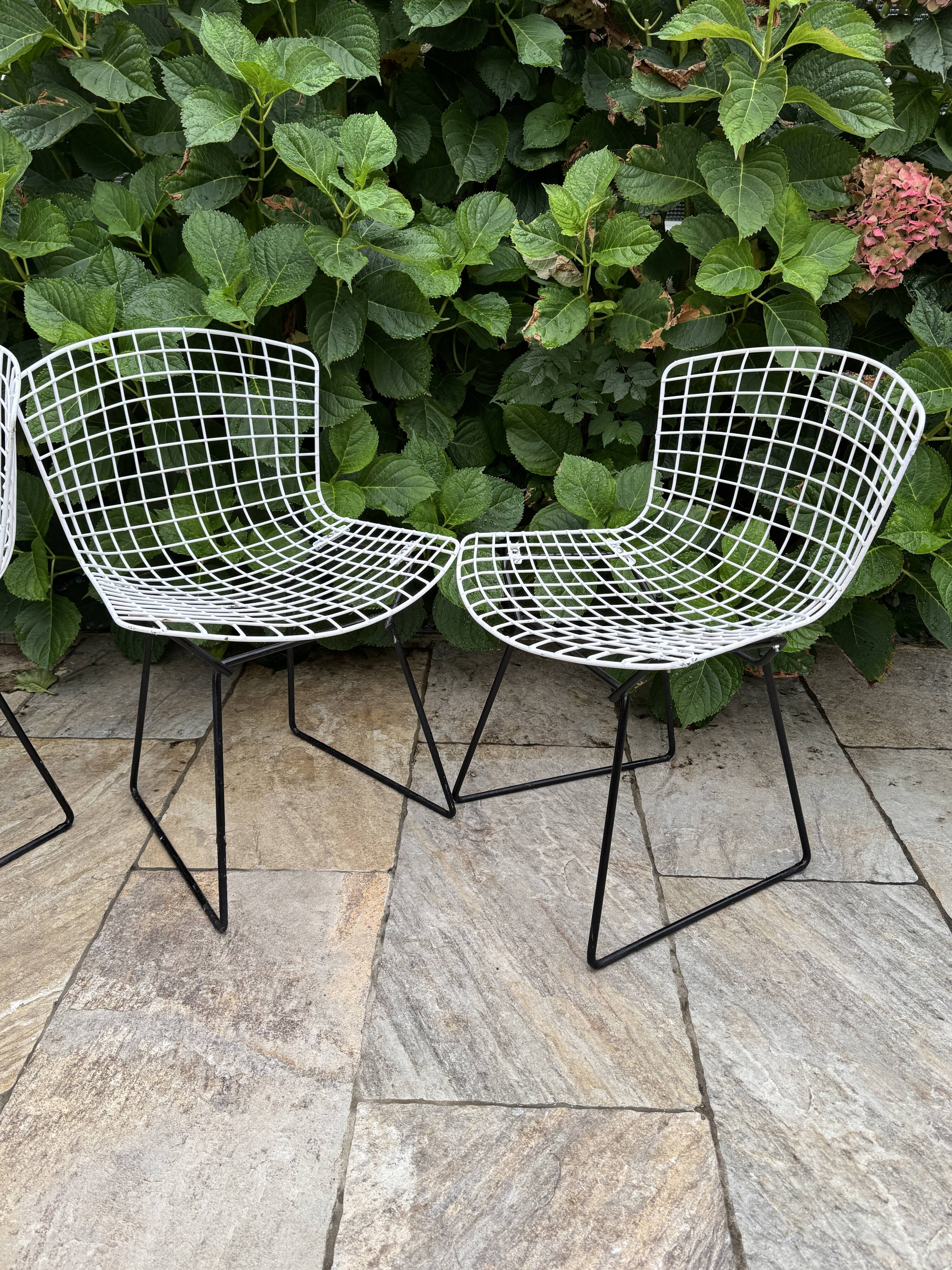Chaise vintage Bertoia