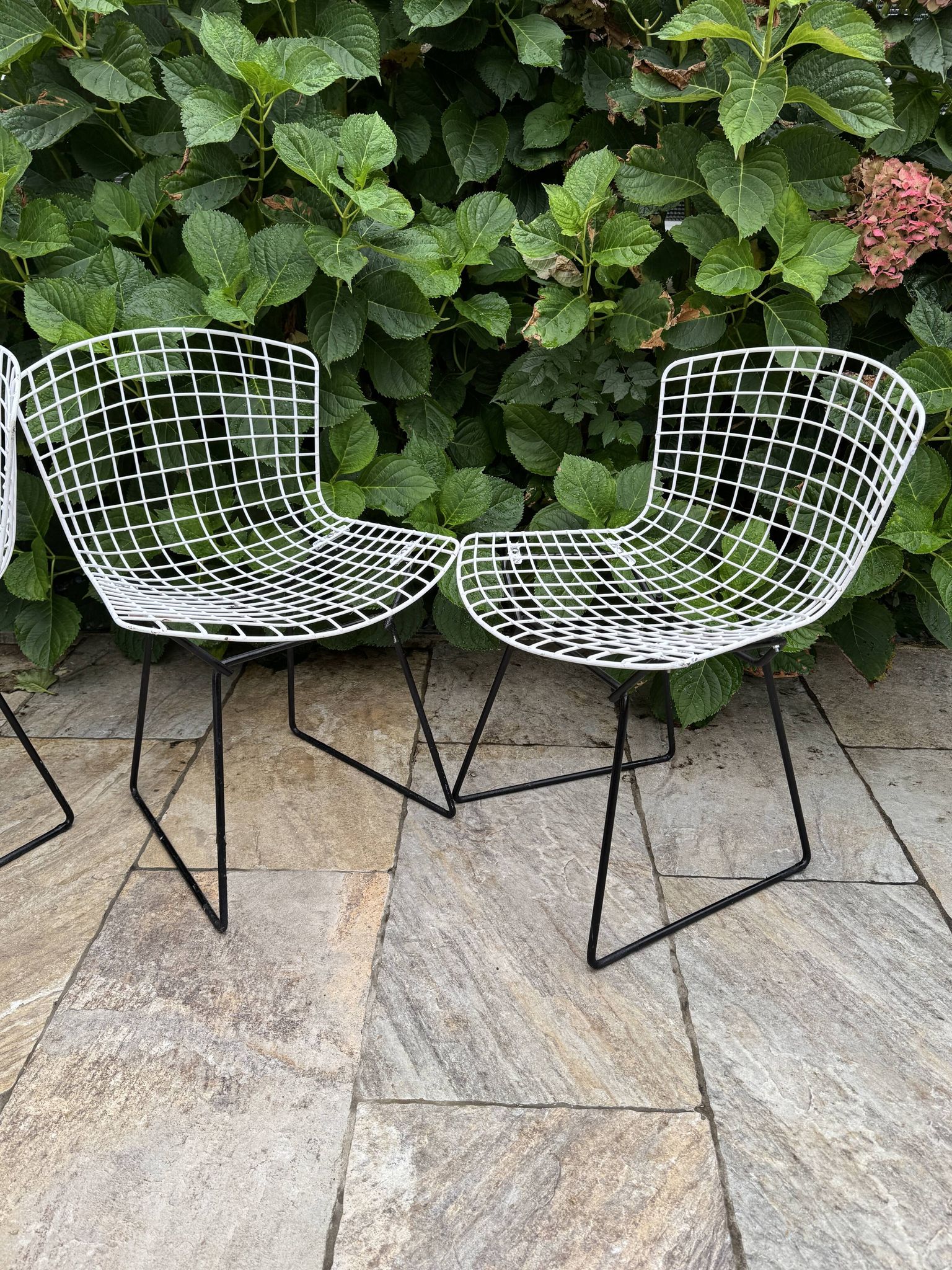 Vintage Bertoia chair