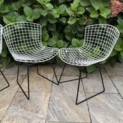 Vintage Bertoia chair