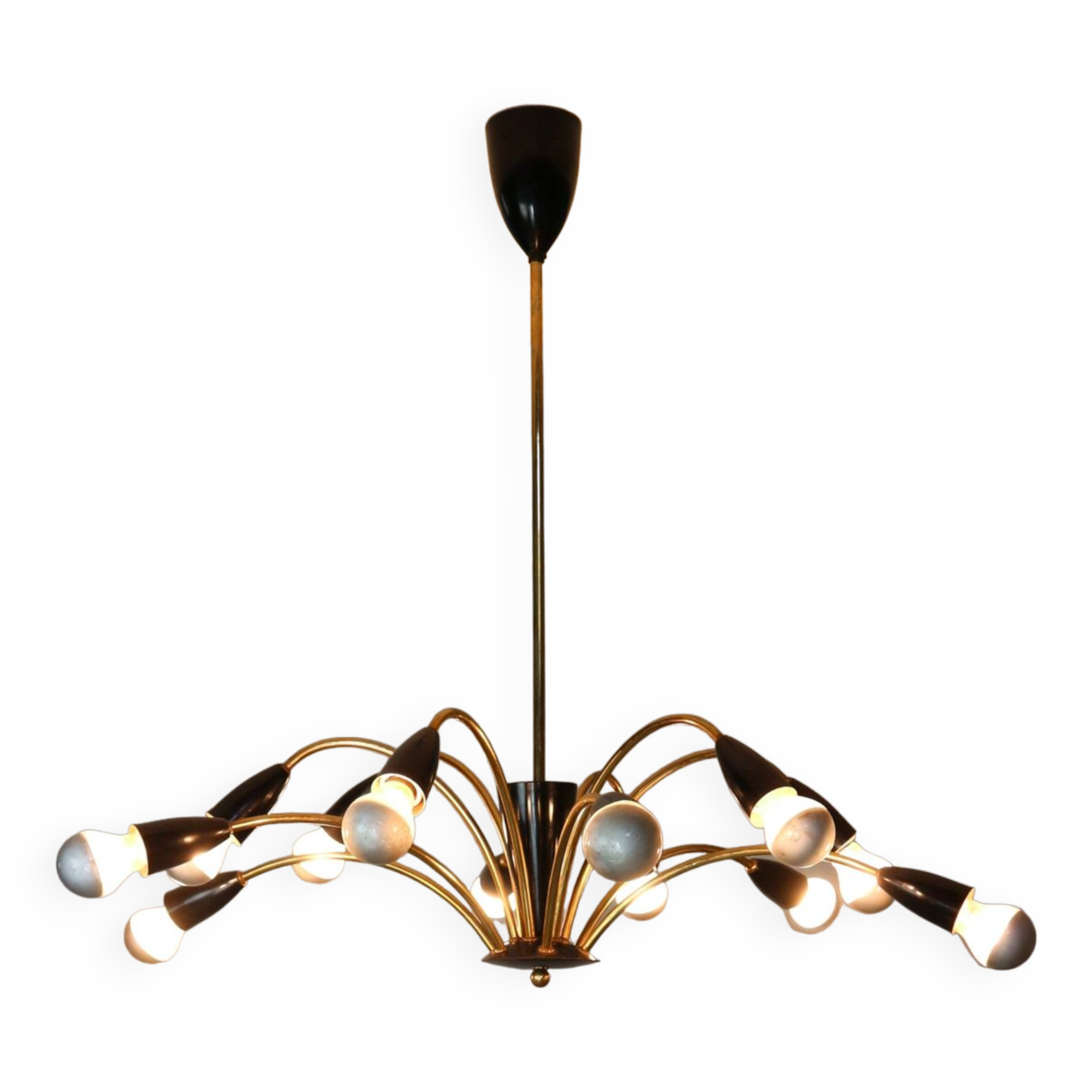 Italian Black and brass 12 arm Spider Chandelier  1950s