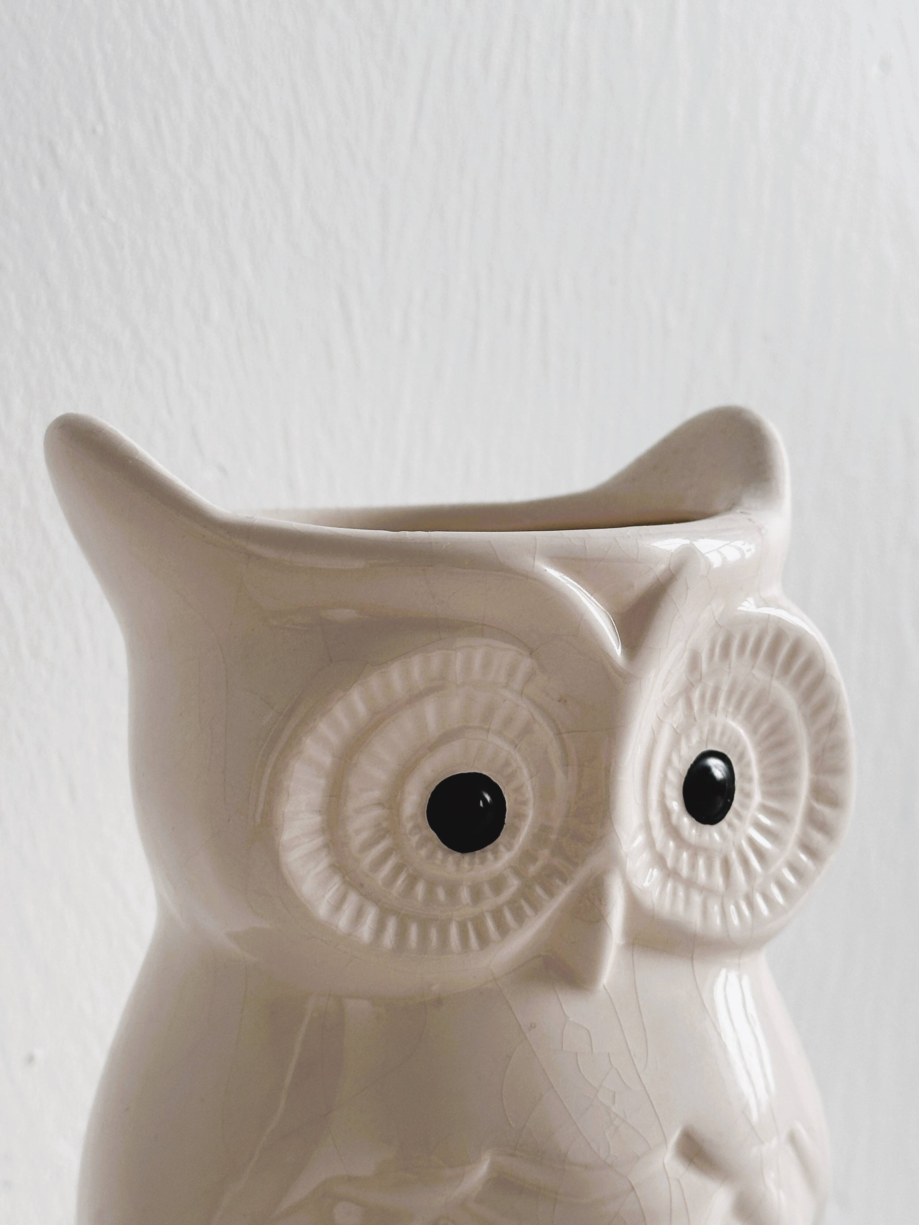 Owl kitchen utensil pot.
