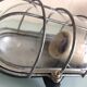 Industrial style porthole wall light, 50s-60s
