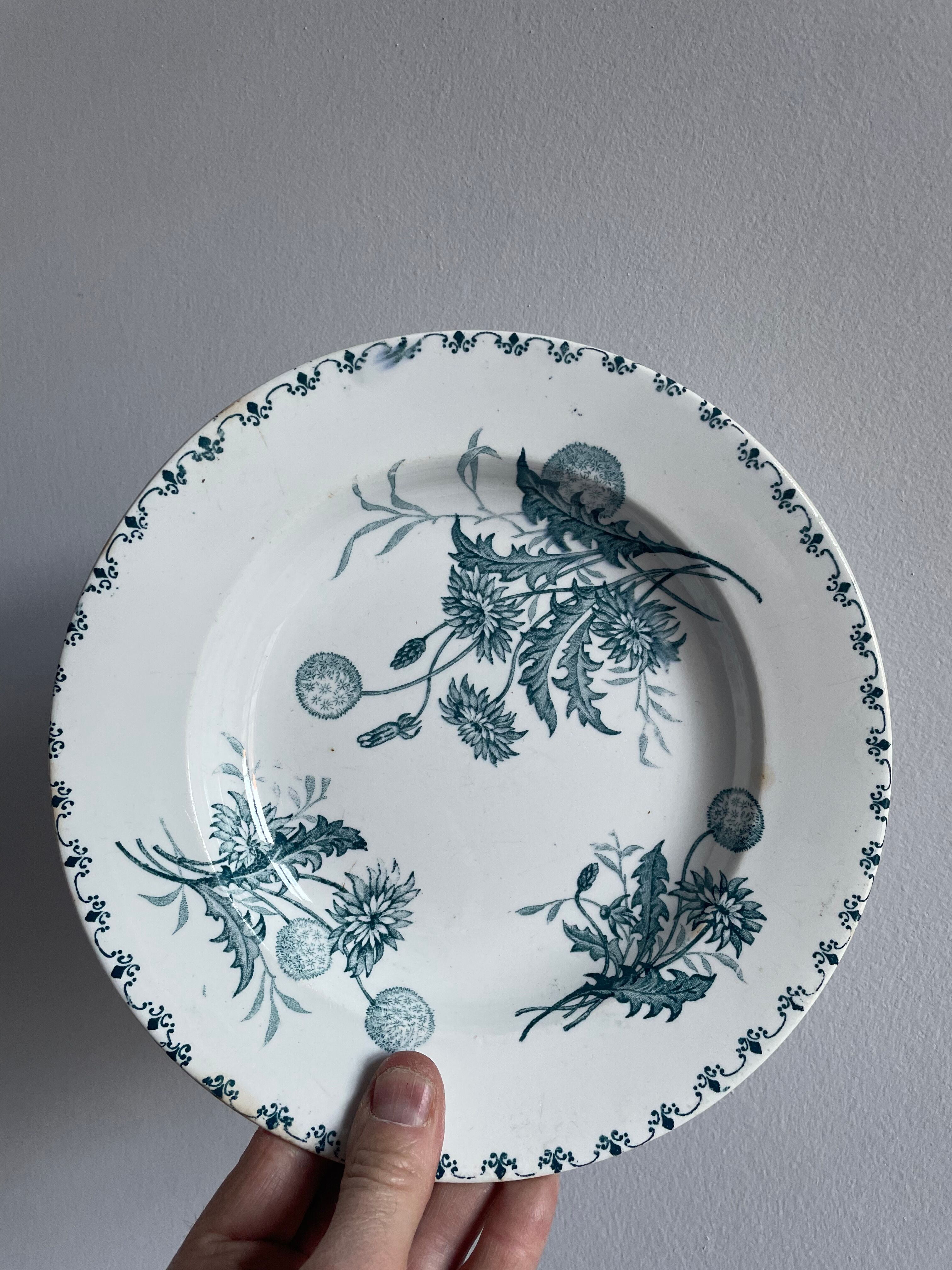 Set of 10 hollow plates Terre de Fer XIXth, model Madrid