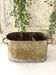 Sheffield style champagne bucket multiple bottles silver plated