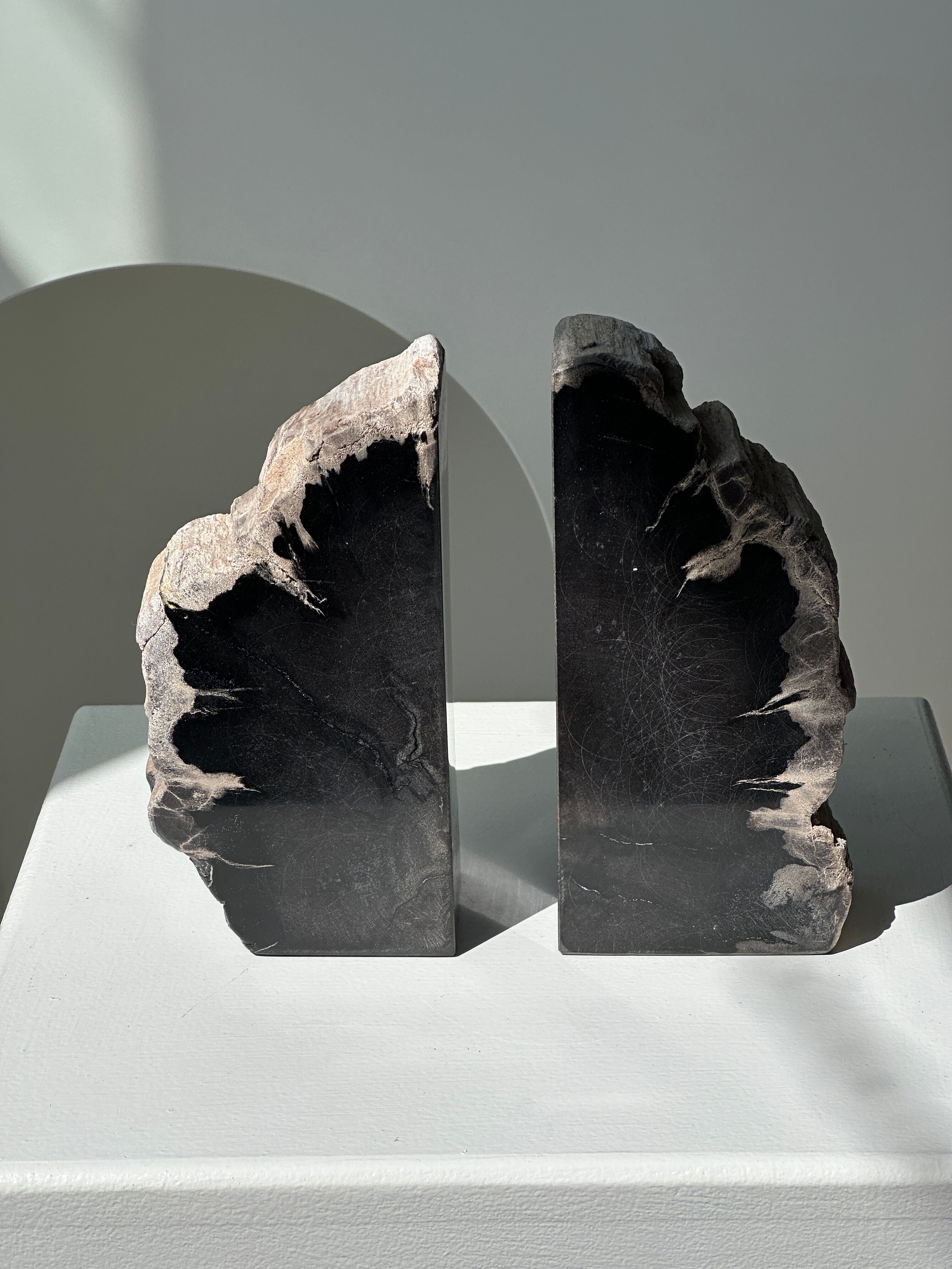 Black petrified wood bookend H17 L17 P6
