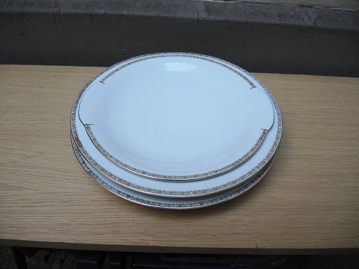 3 Antique Round Dishes - Rheinpfalz Hartporzellan Germany