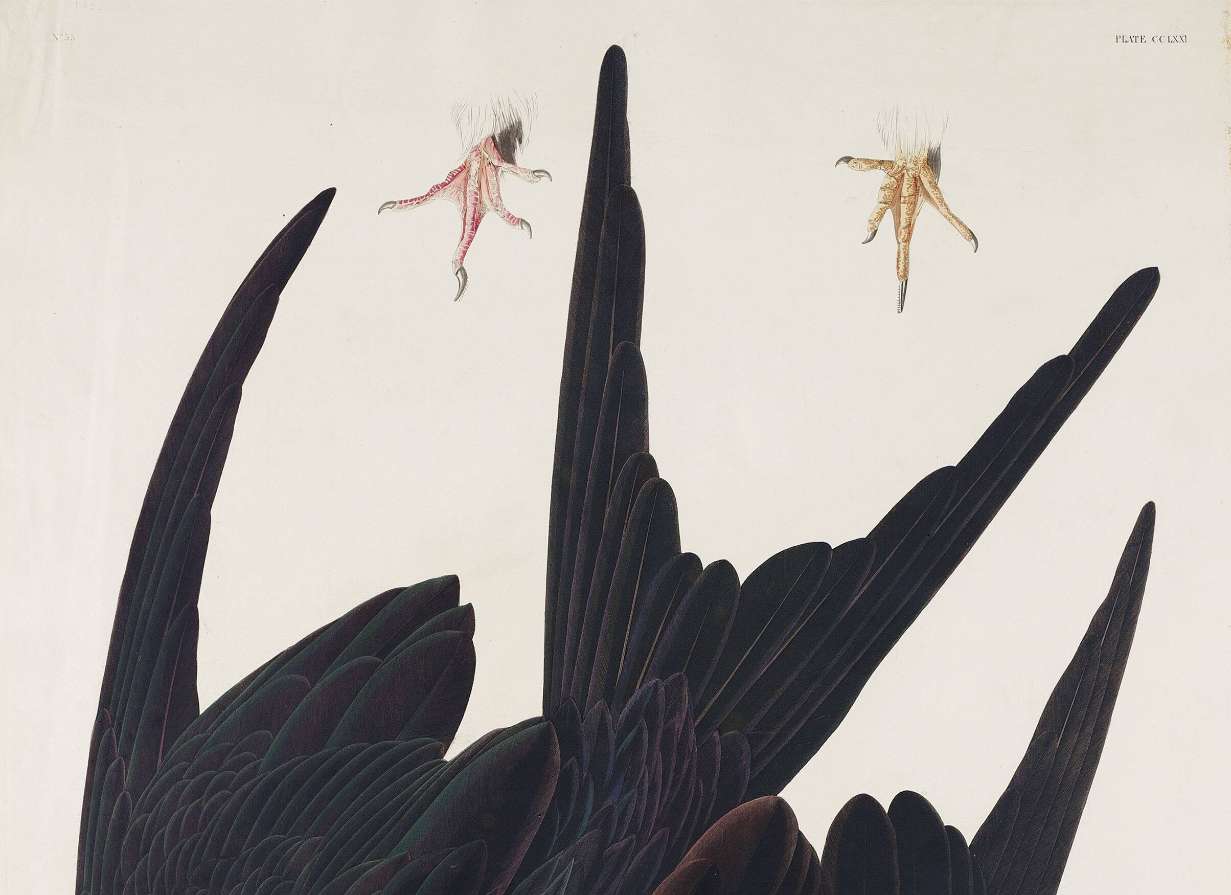 Poster of the superb frigate, based on an old engraving from 1827