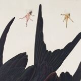 Poster of the superb frigate, based on an old engraving from 1827