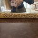 Large vintage gold mirror in Louis XVI style – fluted frame and floral decoration.