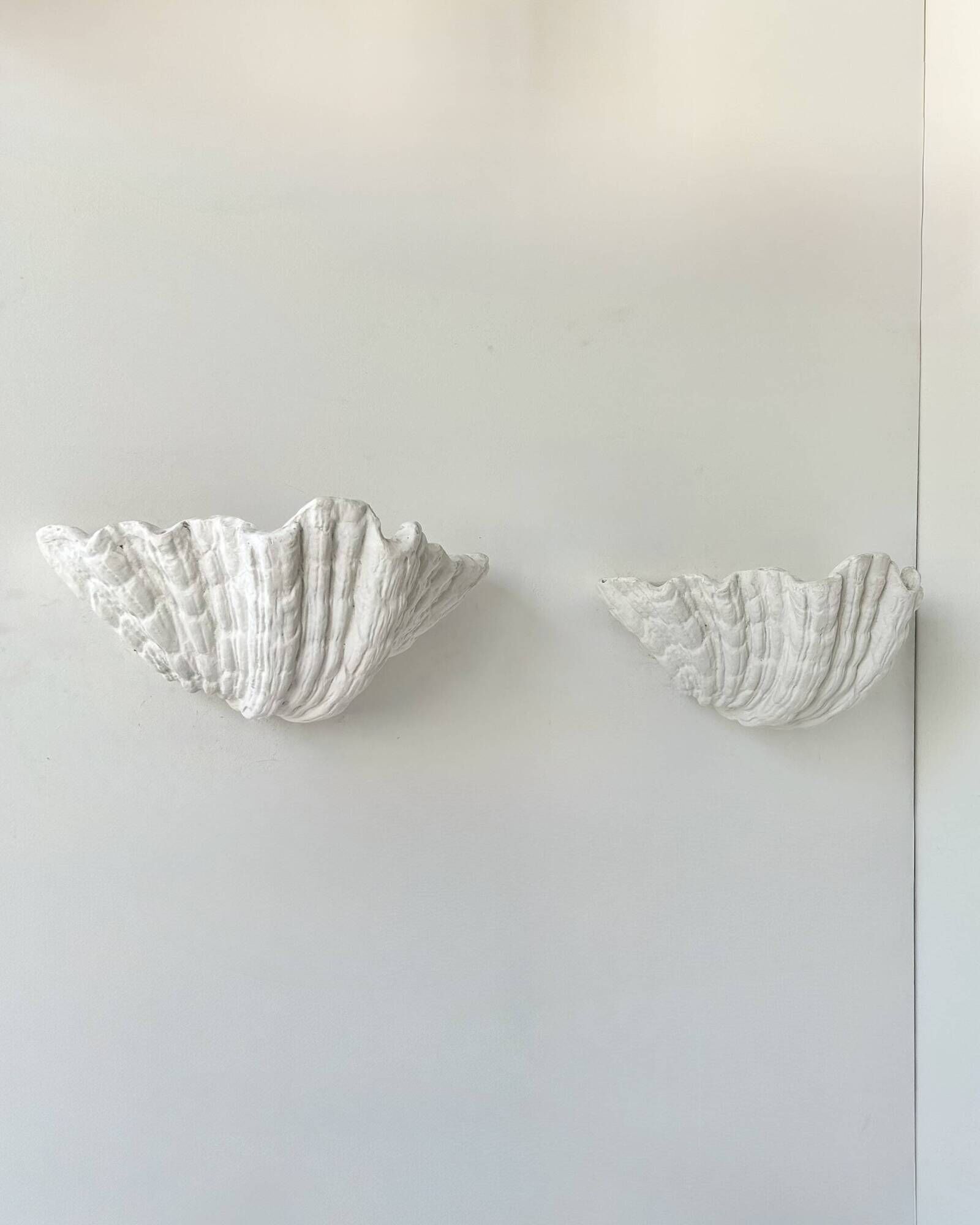 Pair of XL vintage shell plaster wall lights, France, attributed to S. Roche.