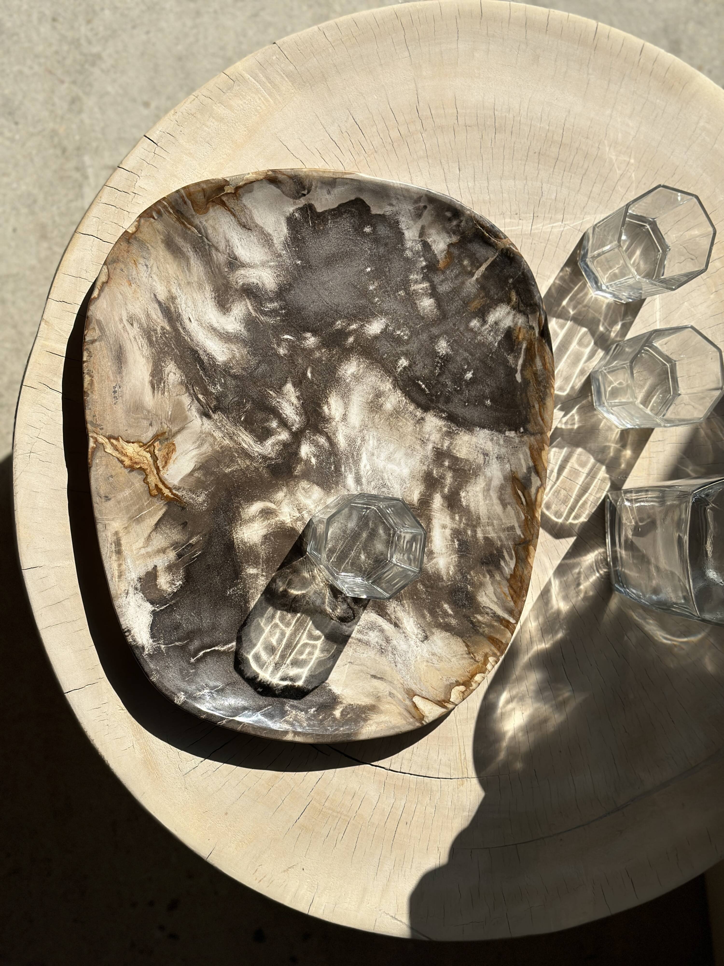 Very large pocket or dish in petrified wood