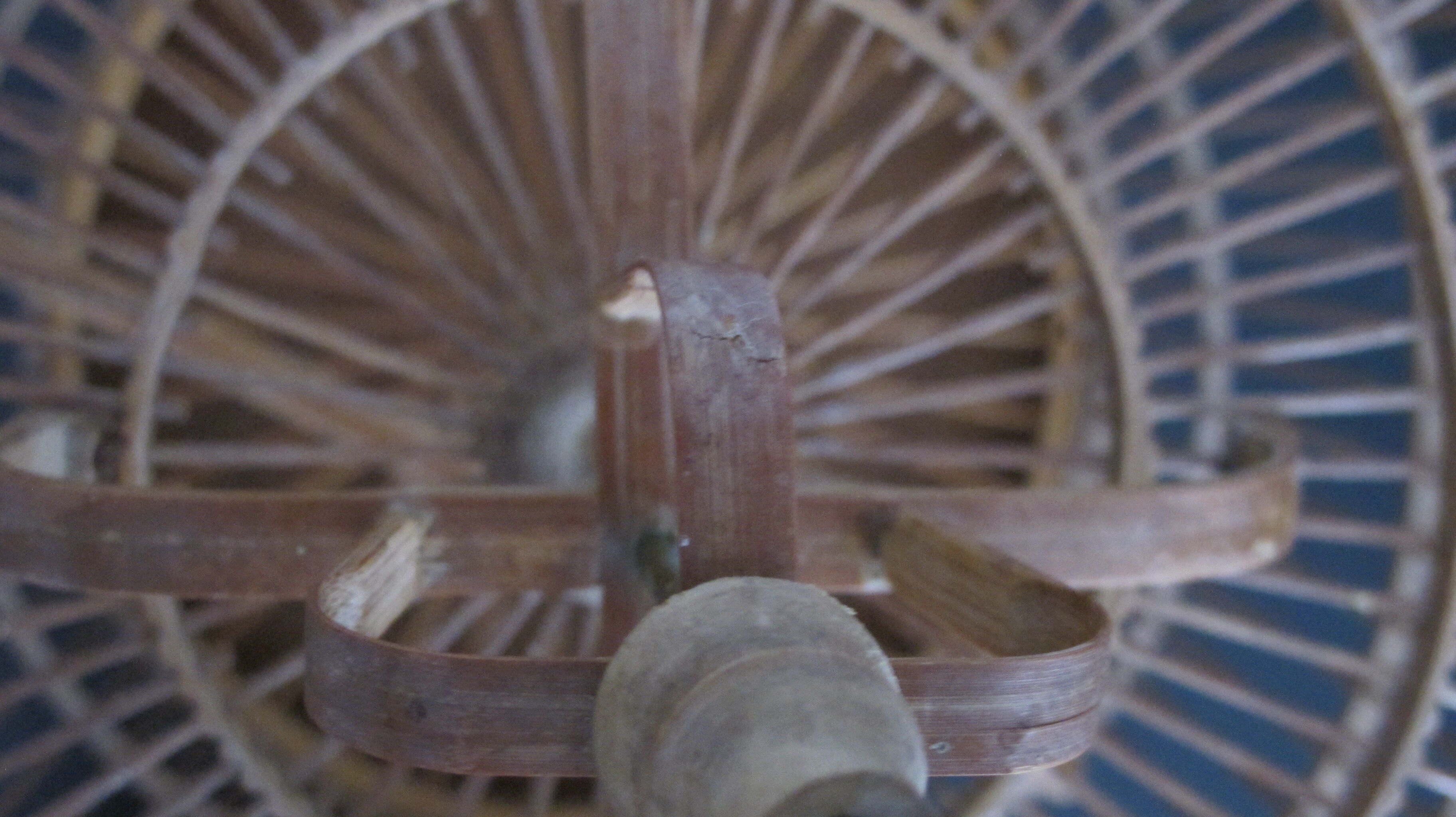 Cage à oiseaux