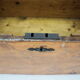 Antique wooden chest czechoslovakia