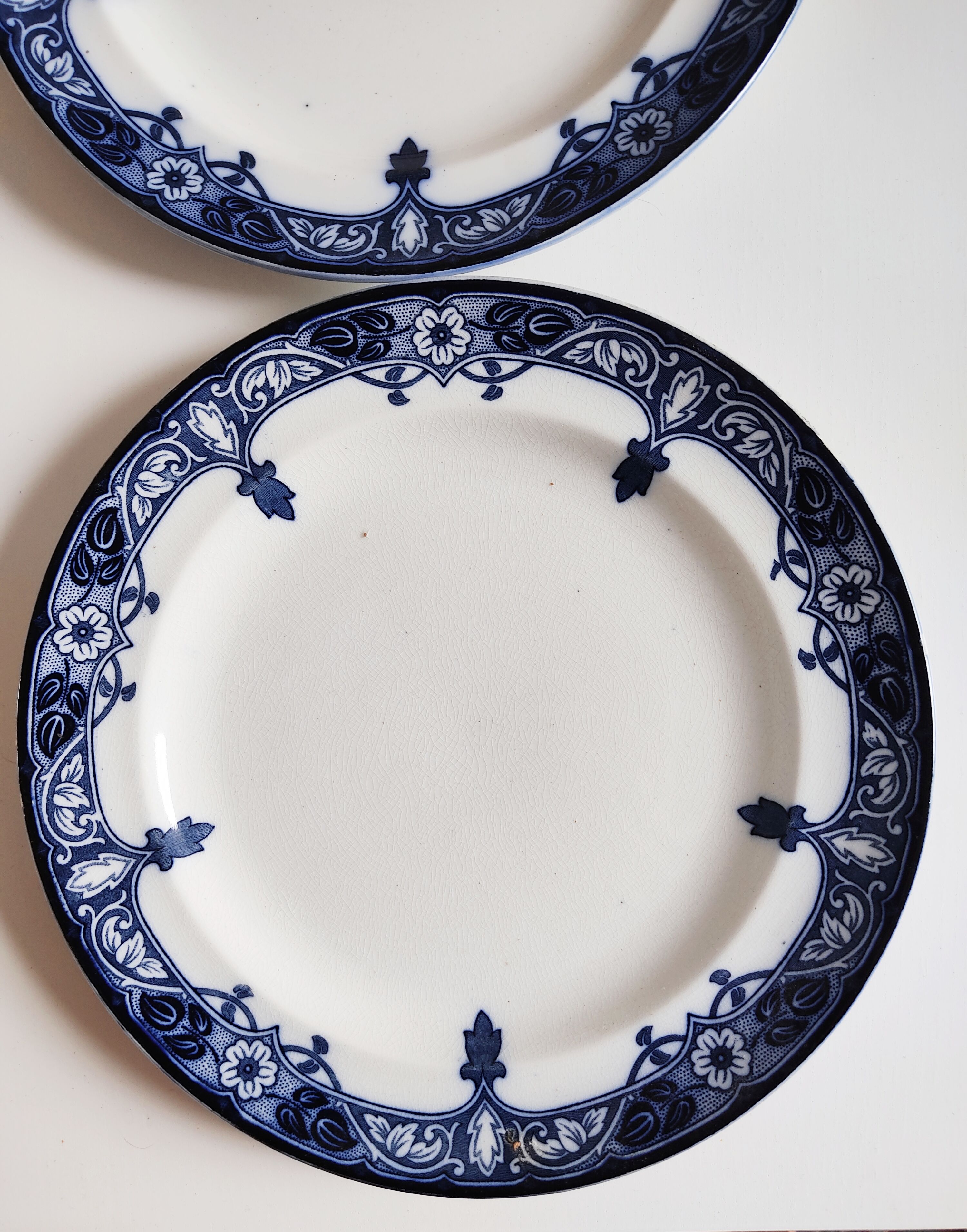 Paire d'assiettes anglaises décor bleu