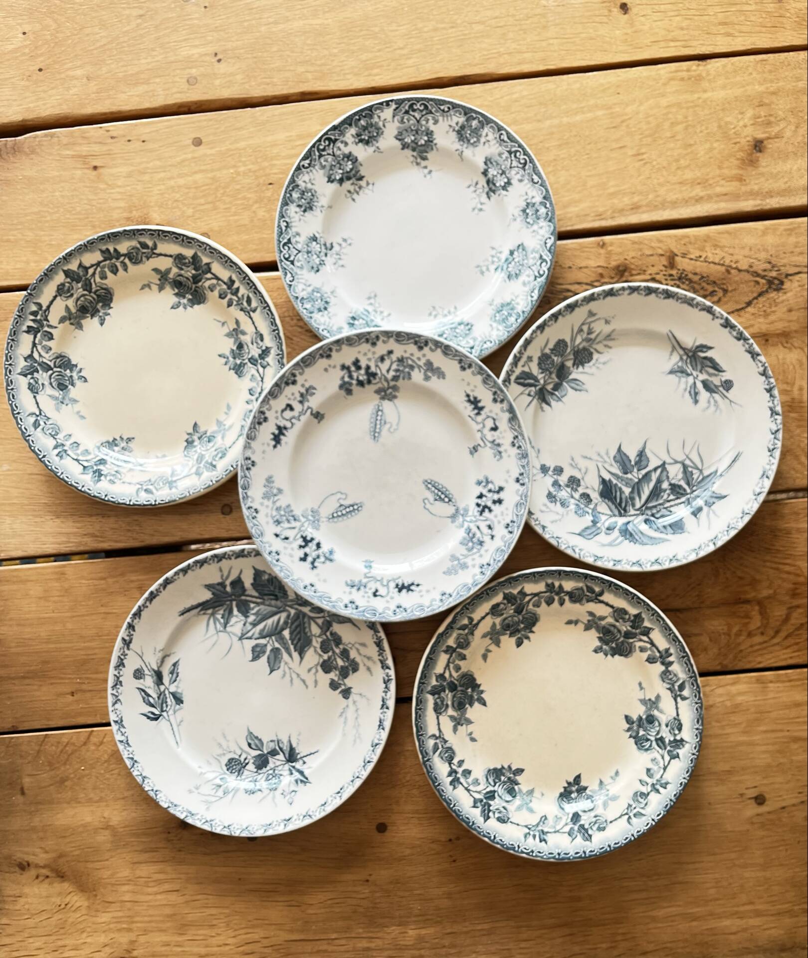 6 assiettes terre de fer