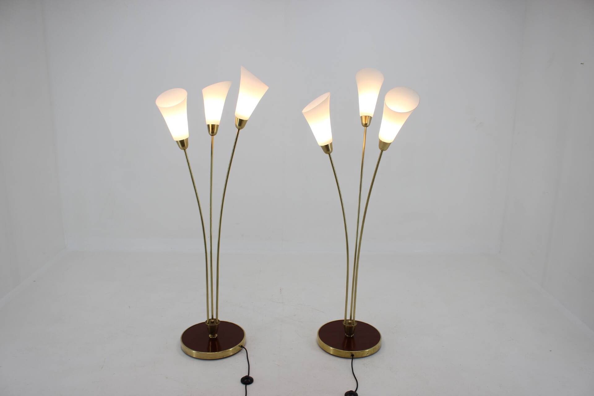 1940s Pair of Art Deco Floor Lamps, Czechoslovakia