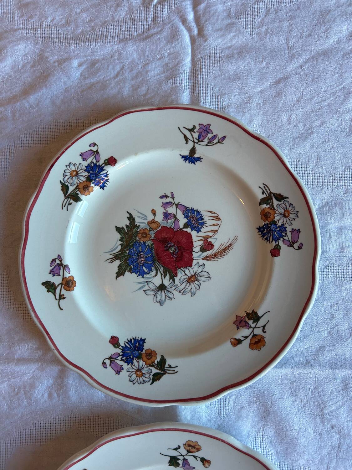 Set of 6 antique plates in porcelain from Sarreguemines – Ag decor