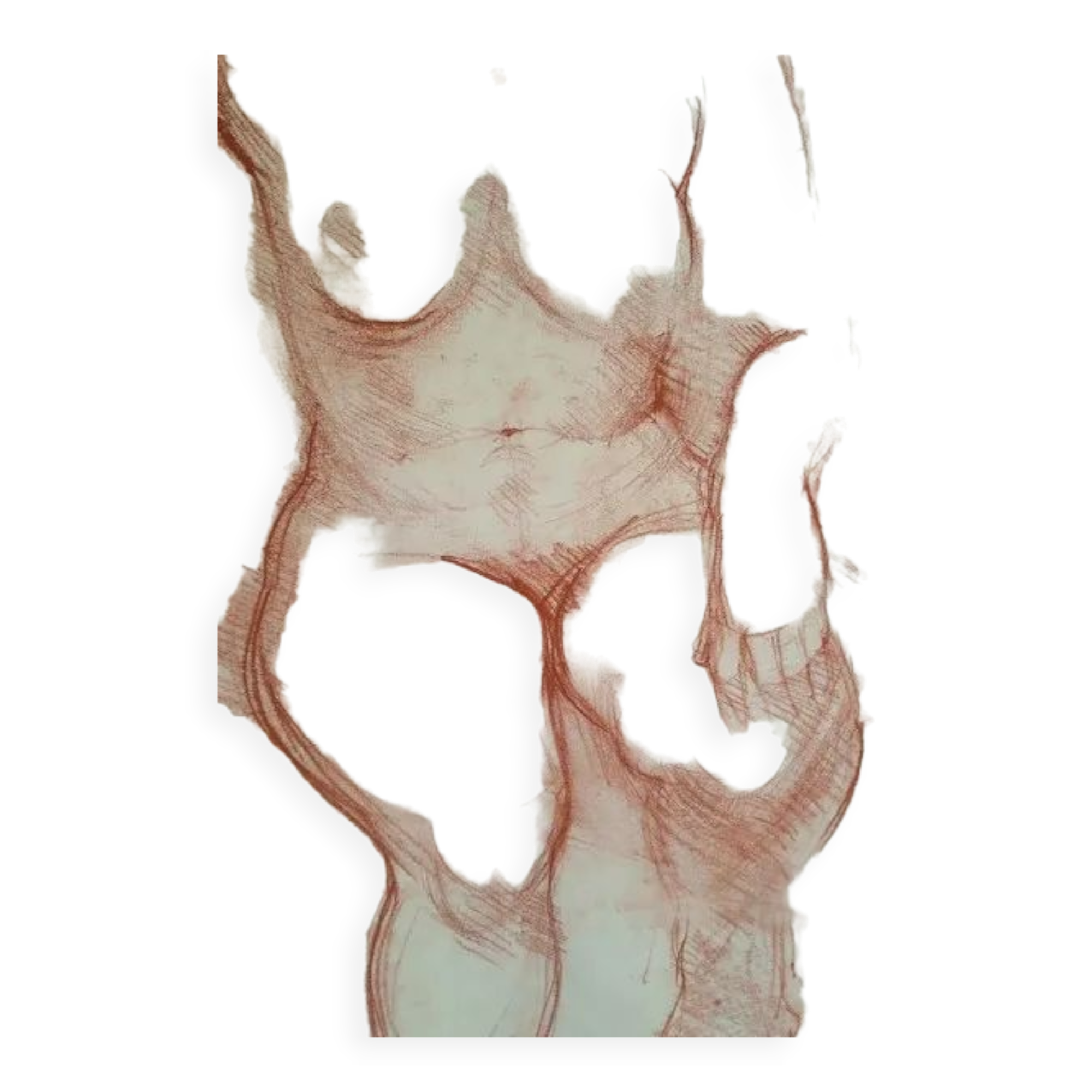 Drawing sanguine study nude female 67/50cm 1950