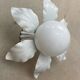 Flower wall light ceiling light