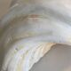 Holy Clam Shell - 23x14x7 cm - Natural - 1000g