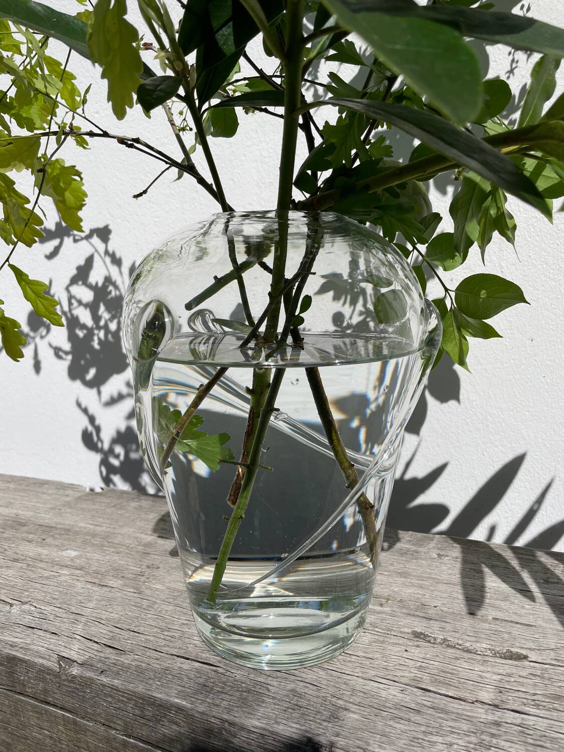 Murano transparent glass vase
