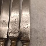 Knife with a horn handle