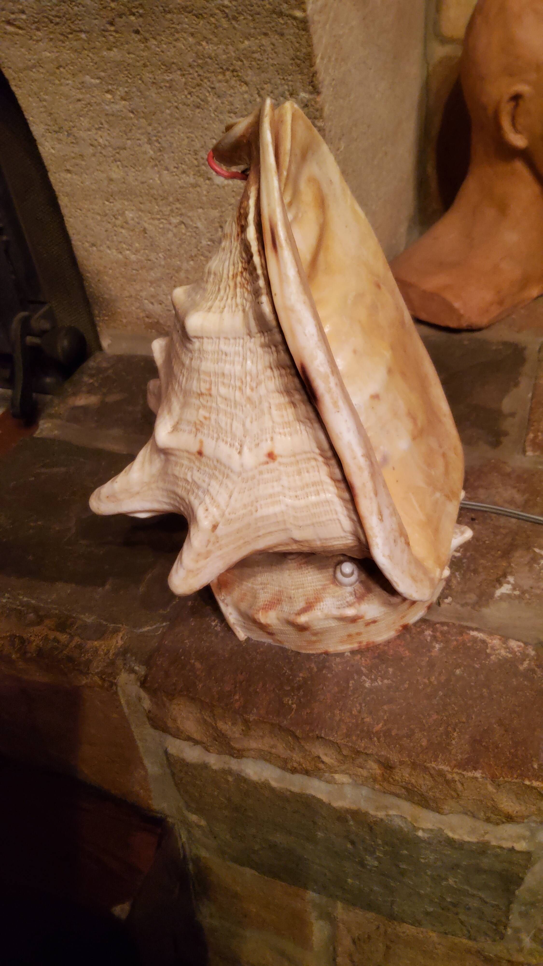 Shell lamp from the 50s