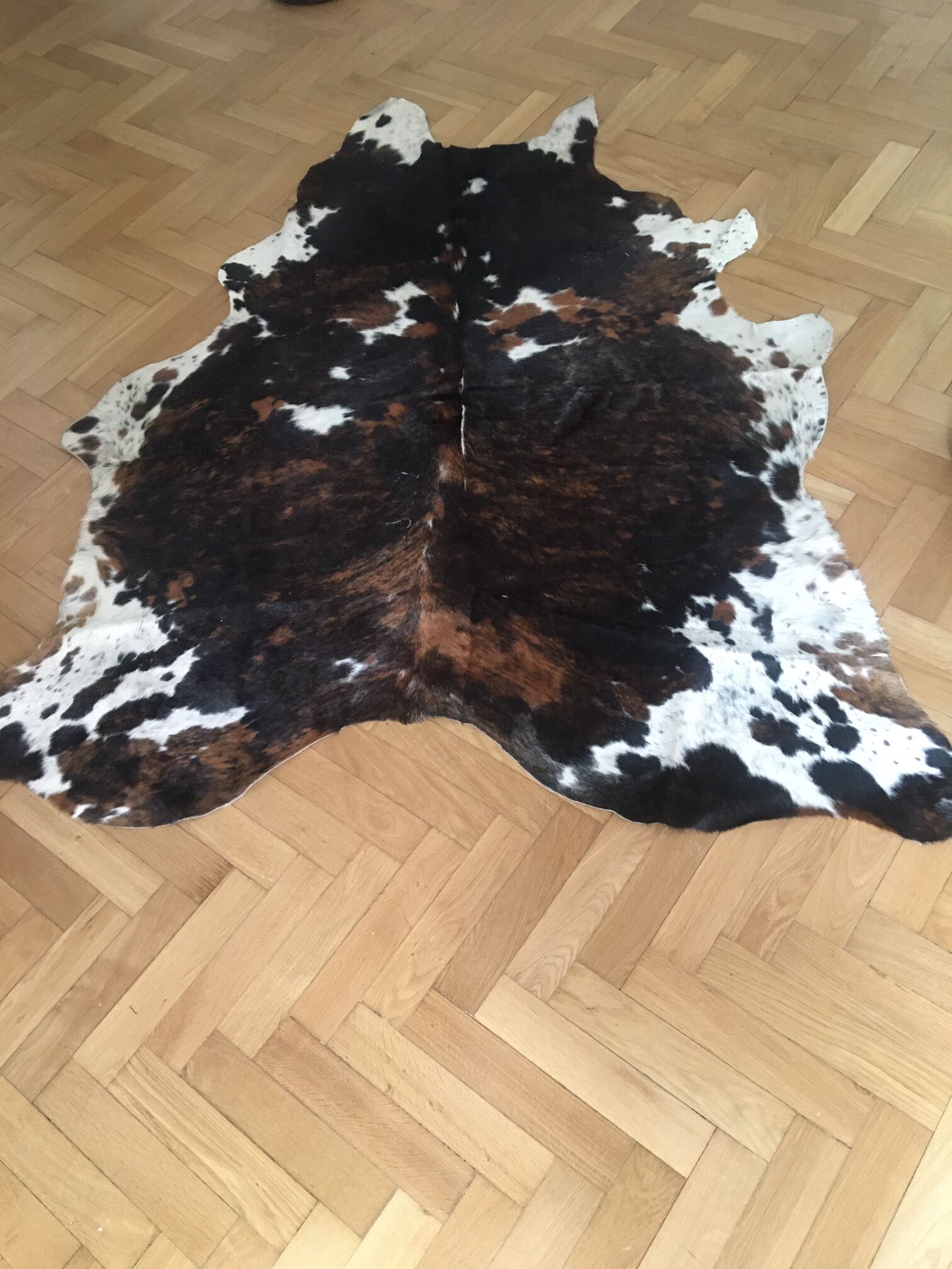 Cow skin