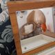 Coiffeuse en teck scandinave