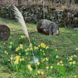 Lady jeanne green neck slashed at the end of the 19th