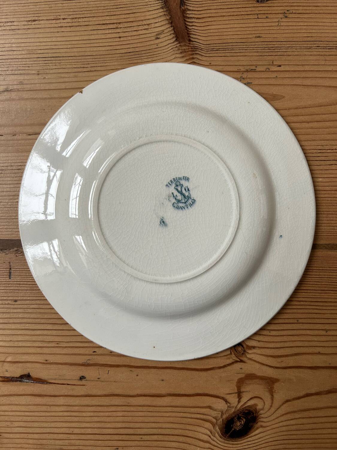 Set of 6 mismatched antique dinner plates
