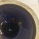 Cobalt blue and gold amphora vase