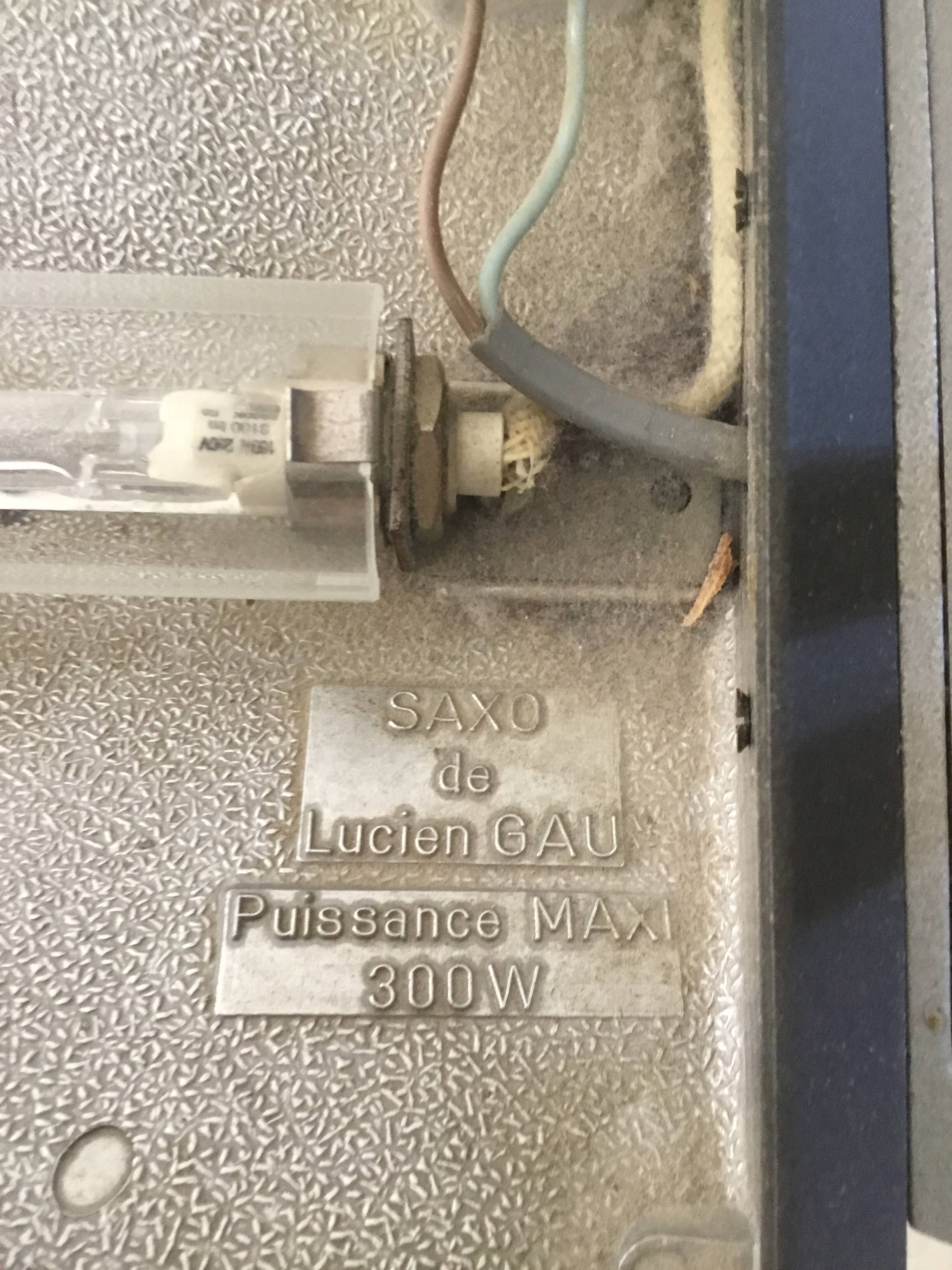 Suspension model saxo by Lucien Gau