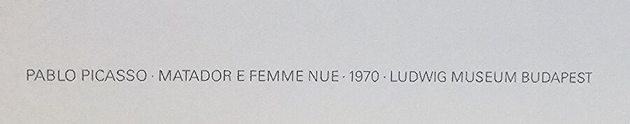 Pablo Picasso Matador E Femme Nue