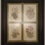 Frame botanical prints nineteenth century