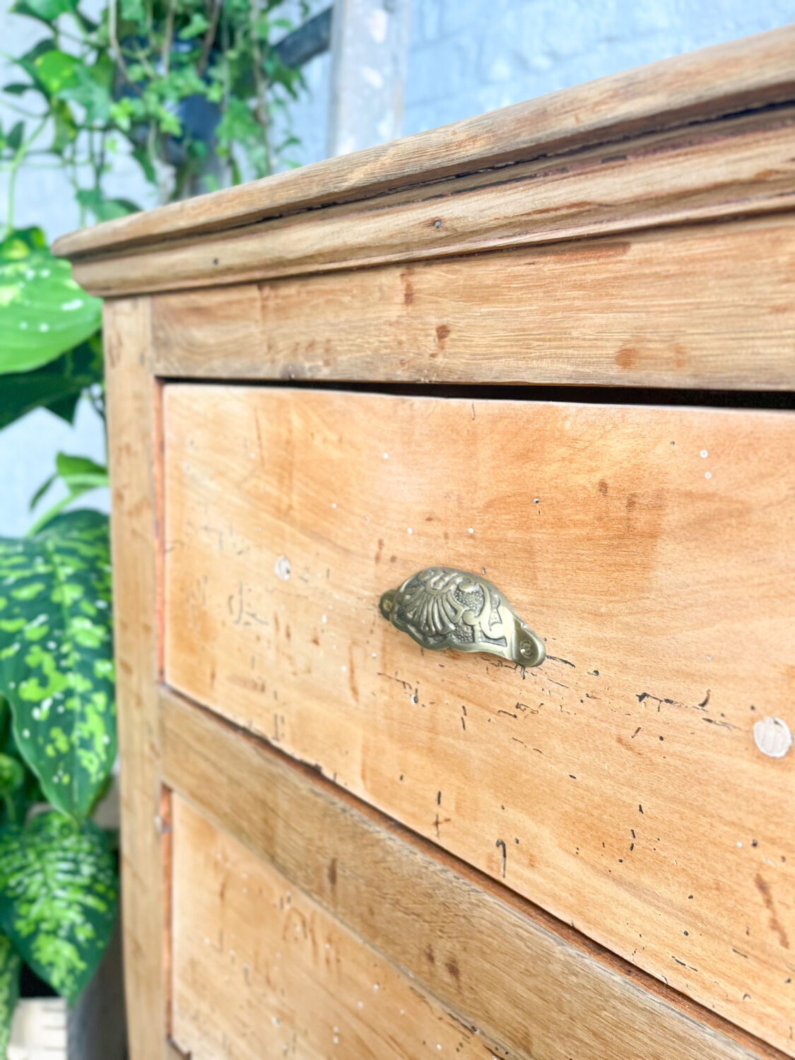 Old haberdashery furniture