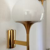 Sciolari wall sconces 1960