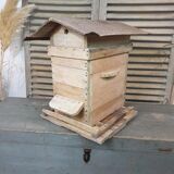 Ancient hive