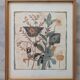 Botanical art print