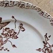 Ironstone dessert plates, poppies